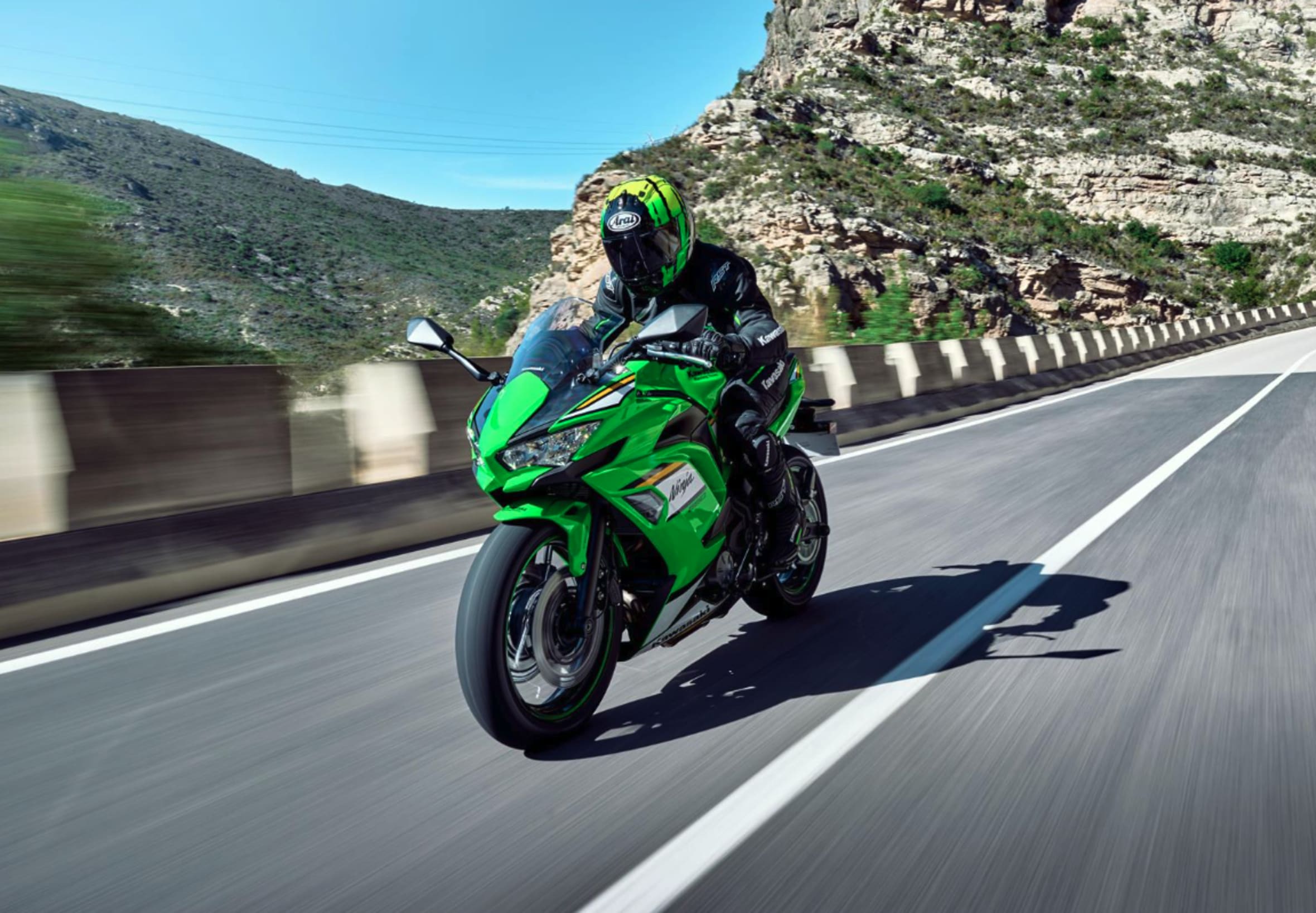 Kawasaki green 4