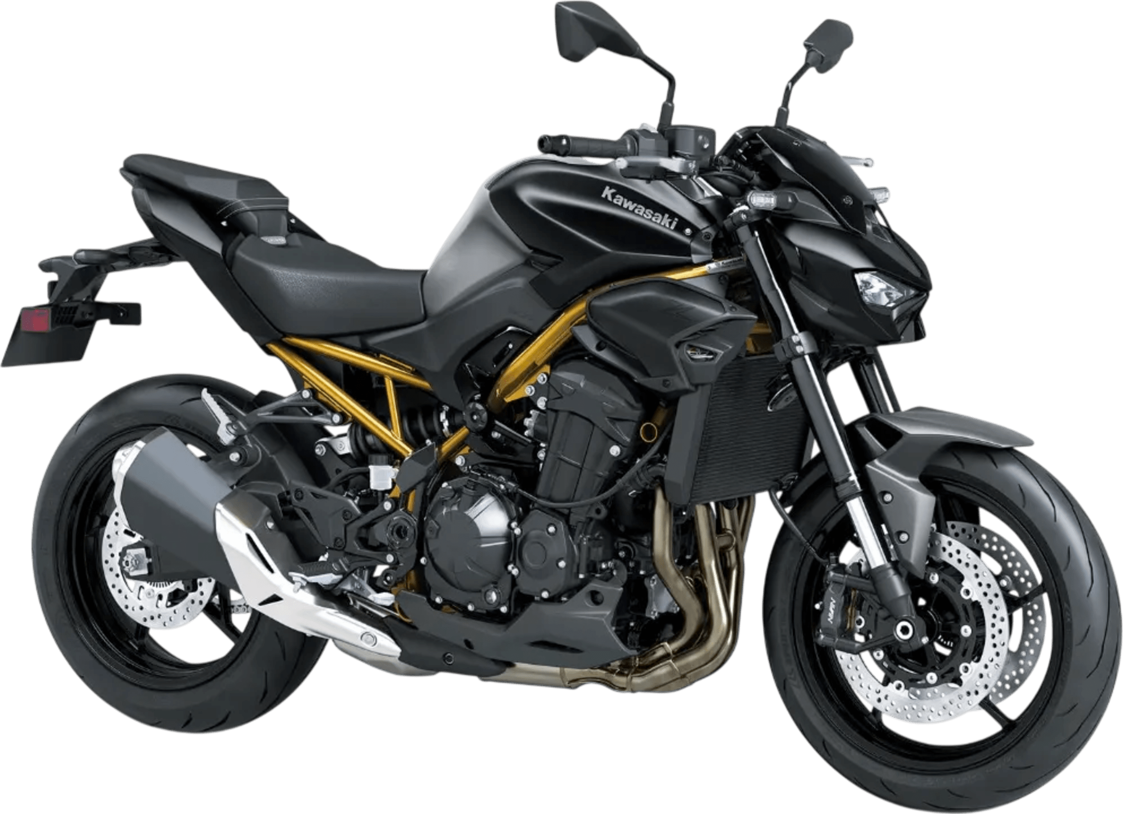 Kawasaki black 1