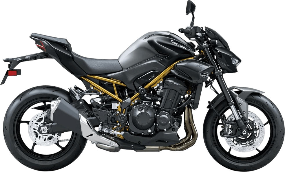 Kawasaki Z 900 2026