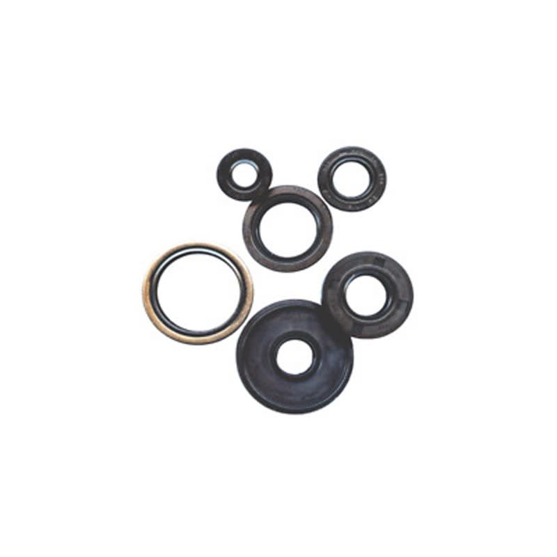 Vertex Engine Seal Kit