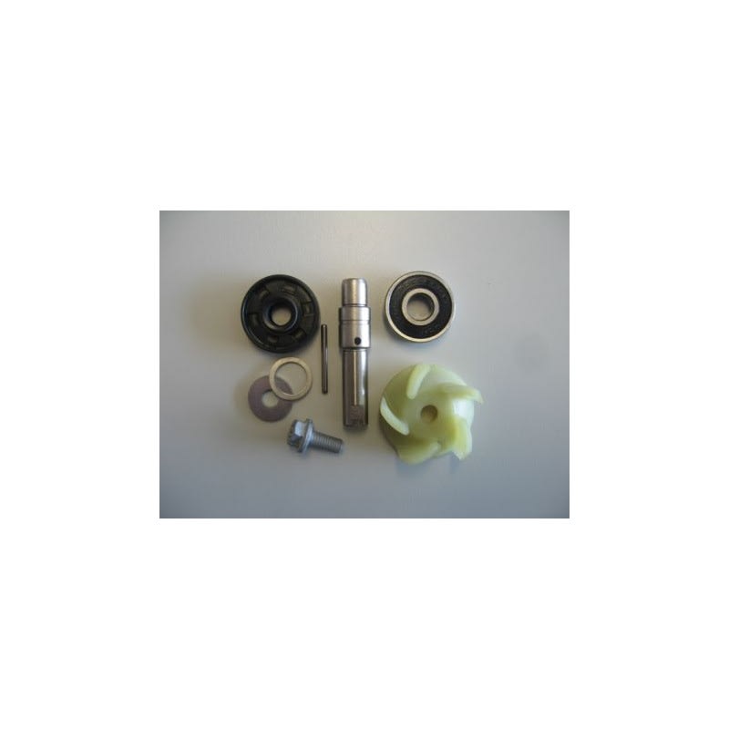 KTM Water Pump Repair Kit
