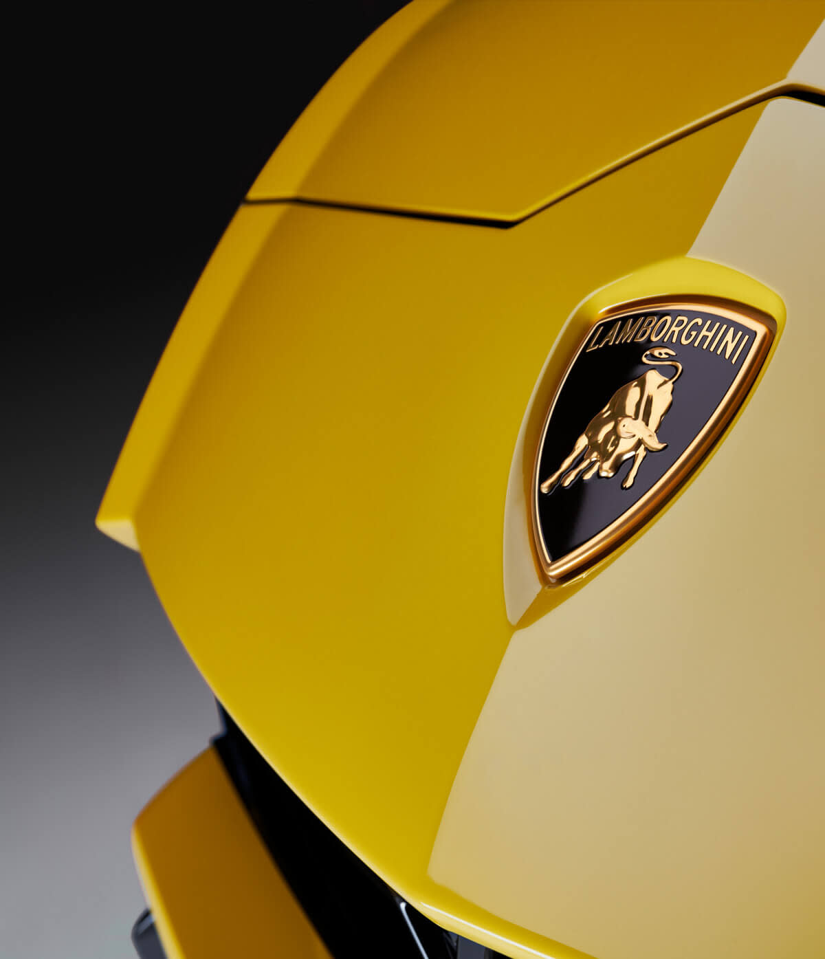 람보르기니 우루스 운전 전면 모습