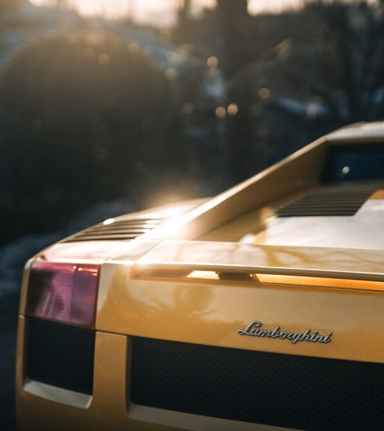 Una Lamborghini Gallardo attraversa un paesaggio montuoso