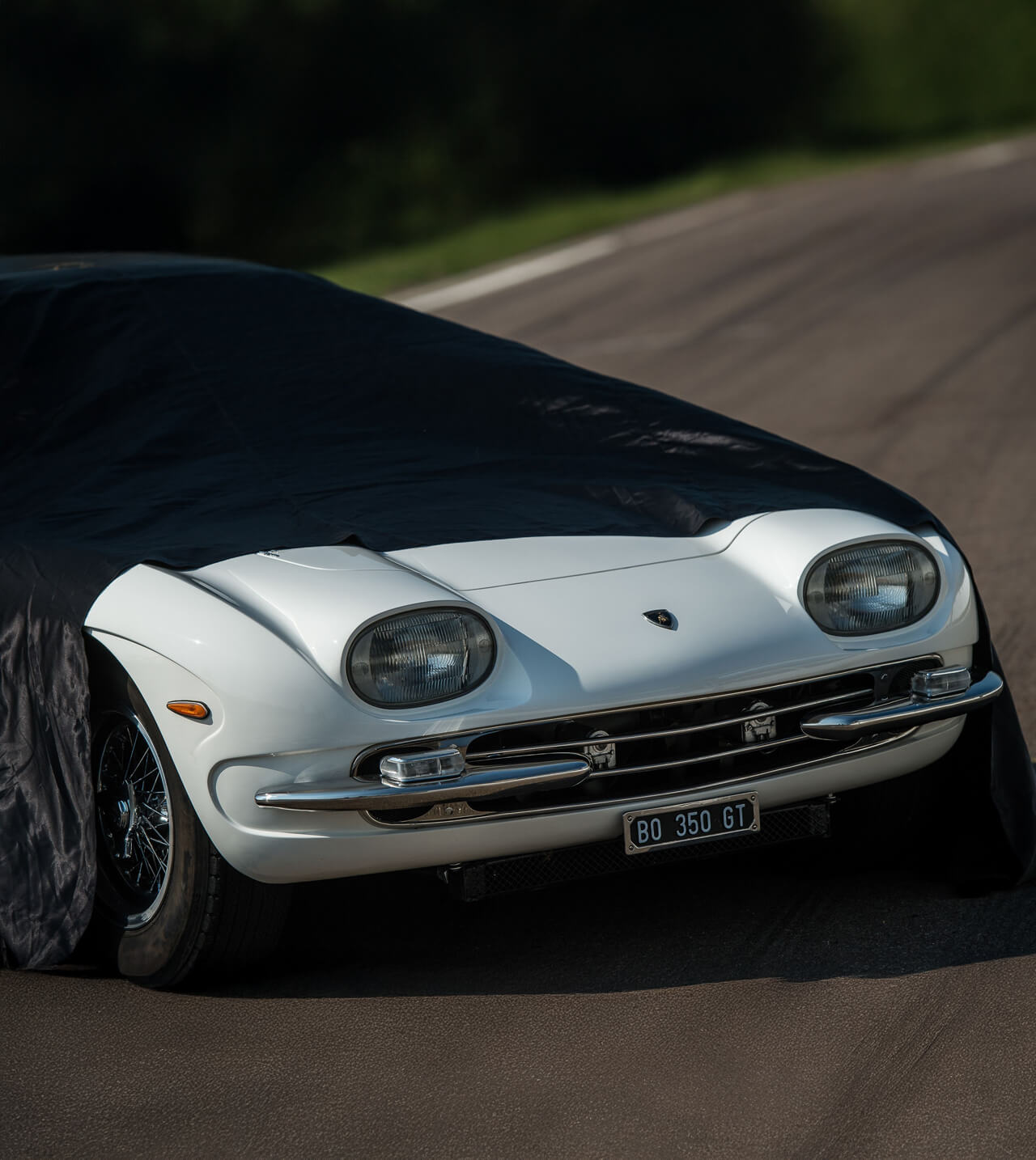 Una Lamborghini in pista