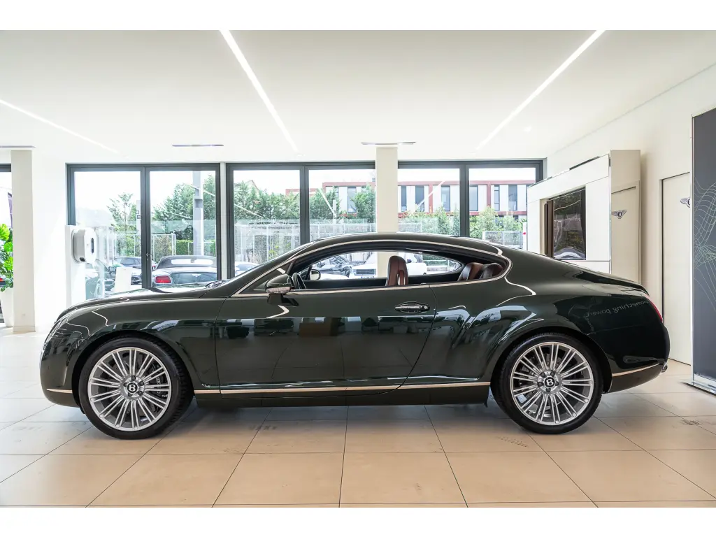 Image for 2008 Continental GT Speed W12 at position 5