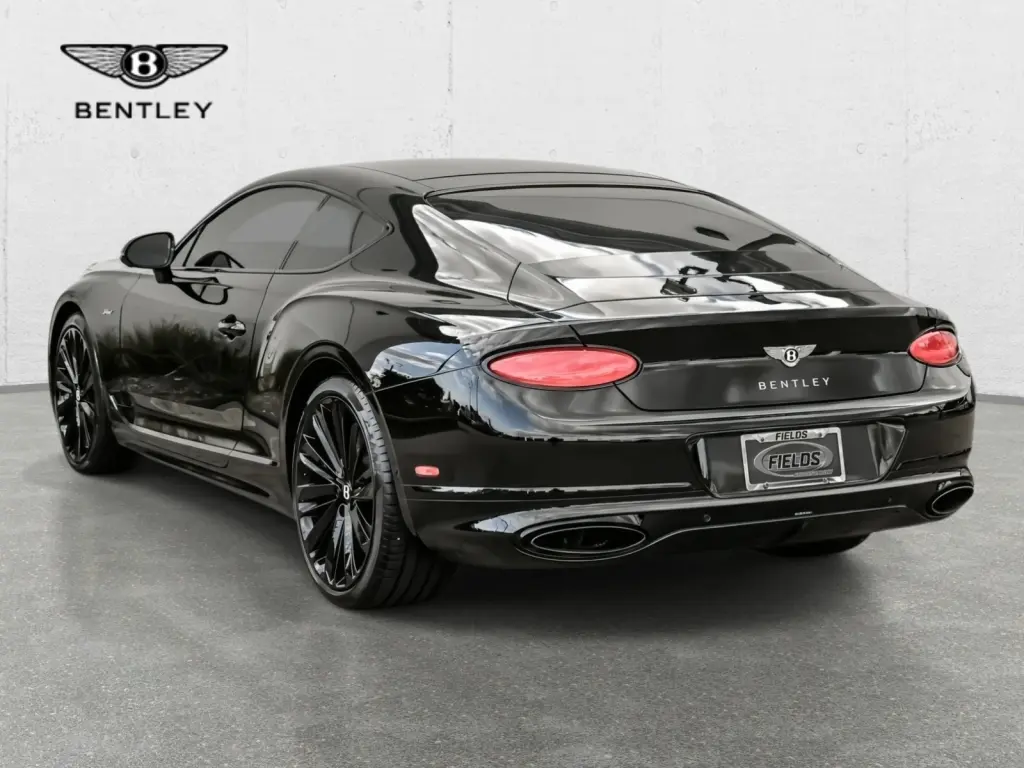 Image for 2023 Continental GT Speed W12 at position 3