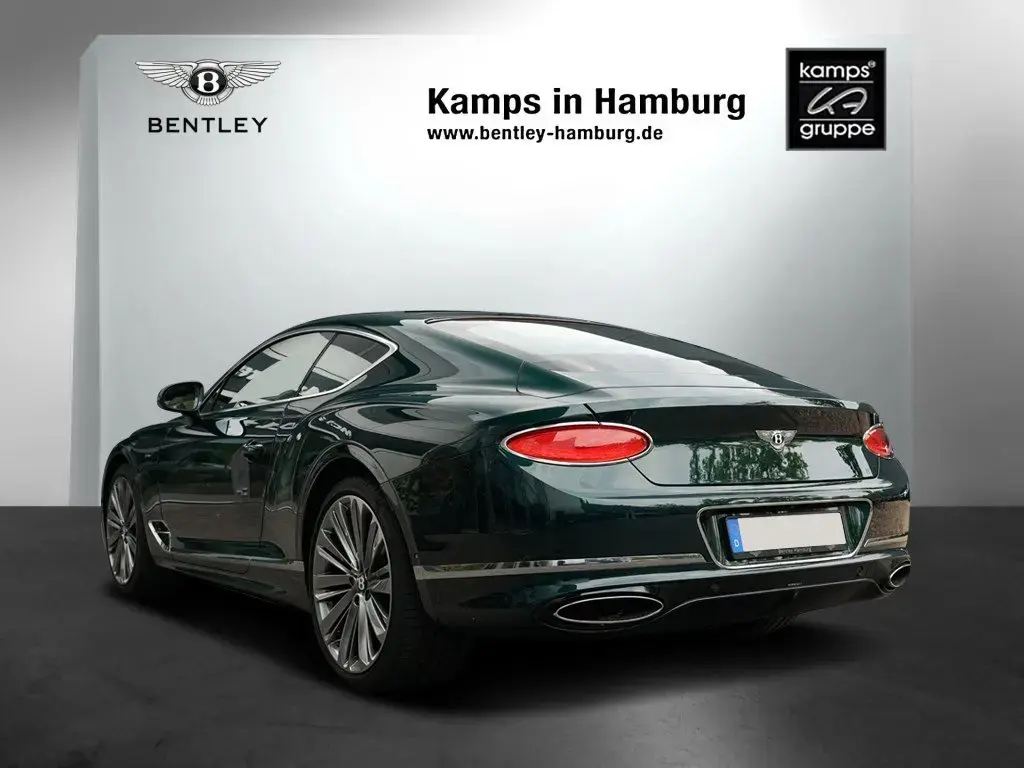 Image for 2023 Continental GT Speed W12 at position 3