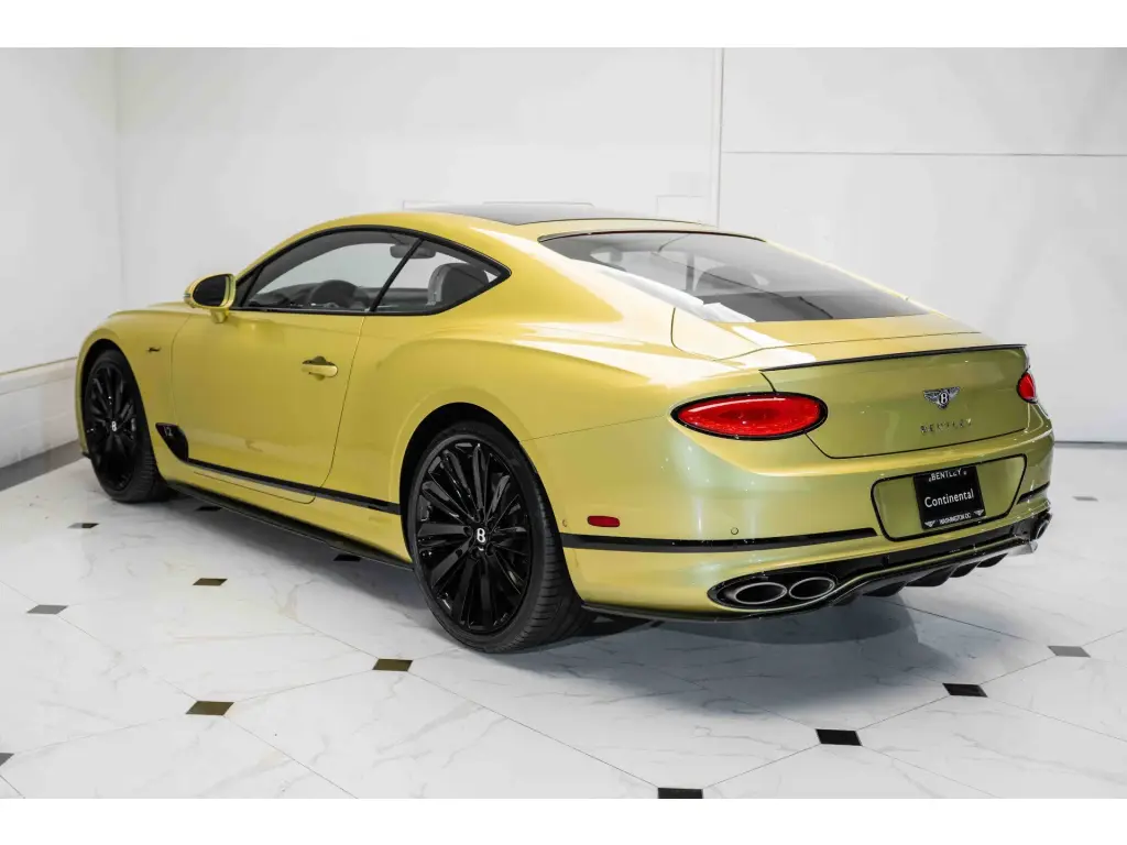 Image for 2024 Continental GT Speed W12 at position 3