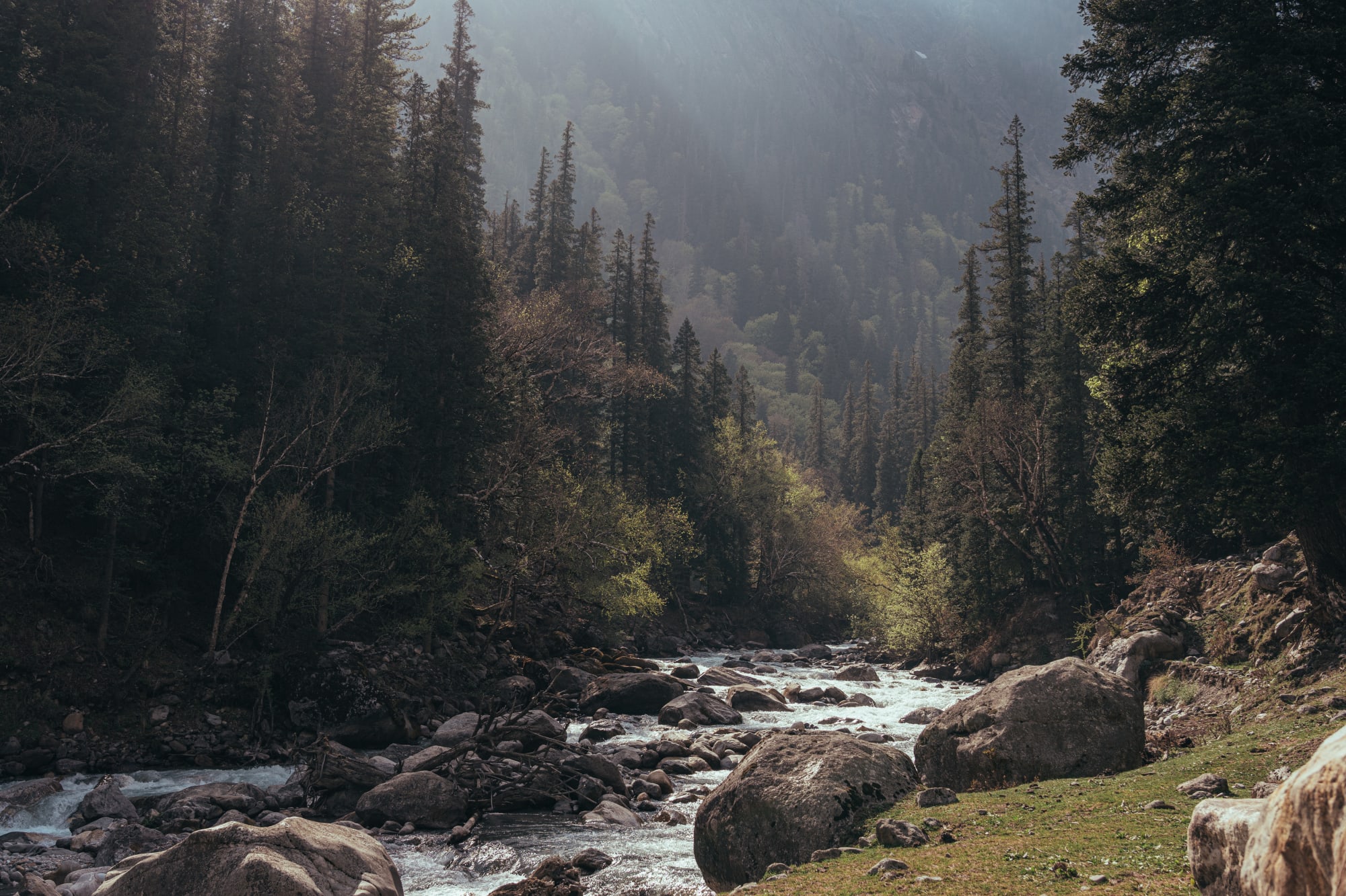 river flowing through a forest with sunbursts