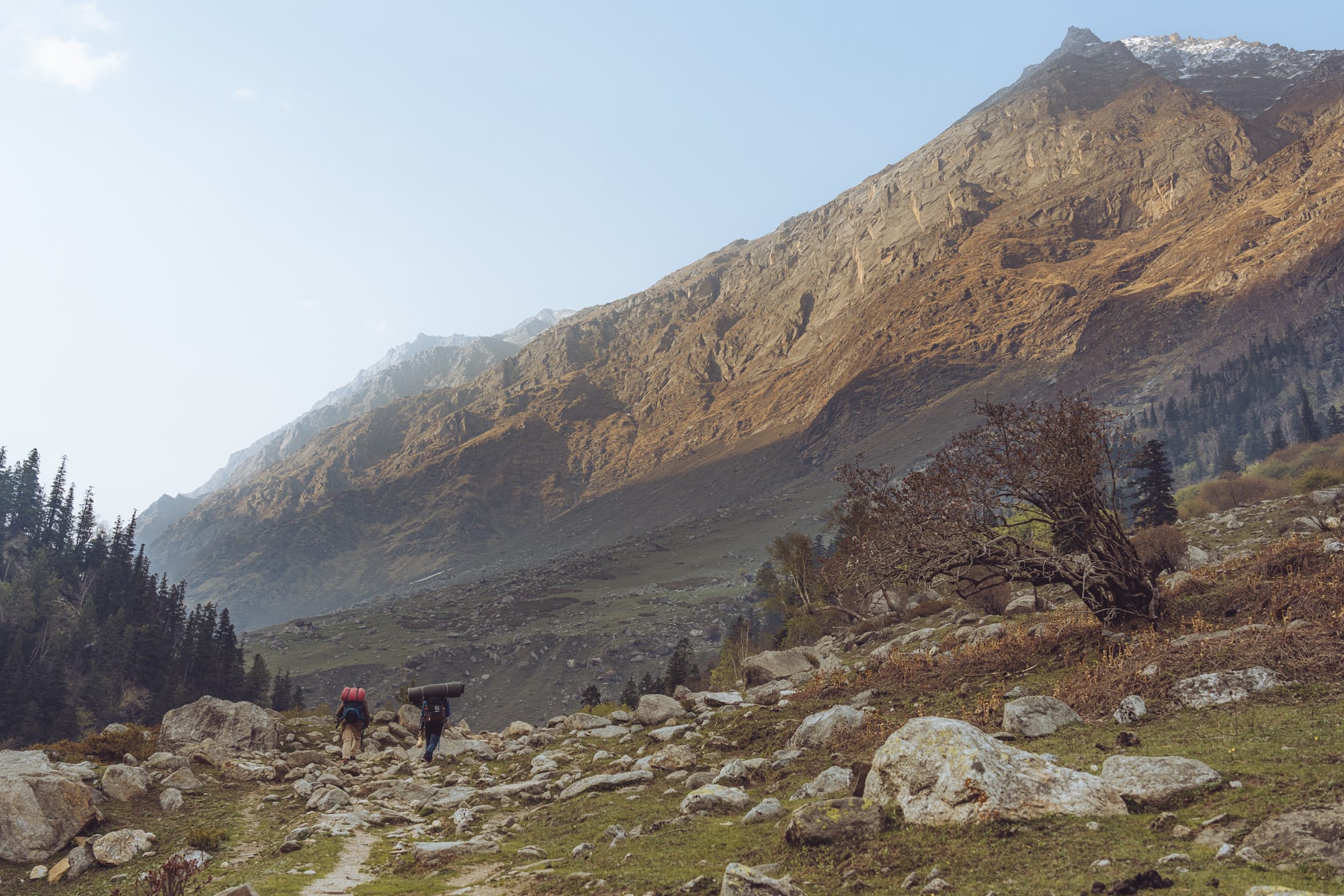 many rocks in the foreground and a mountain in the background