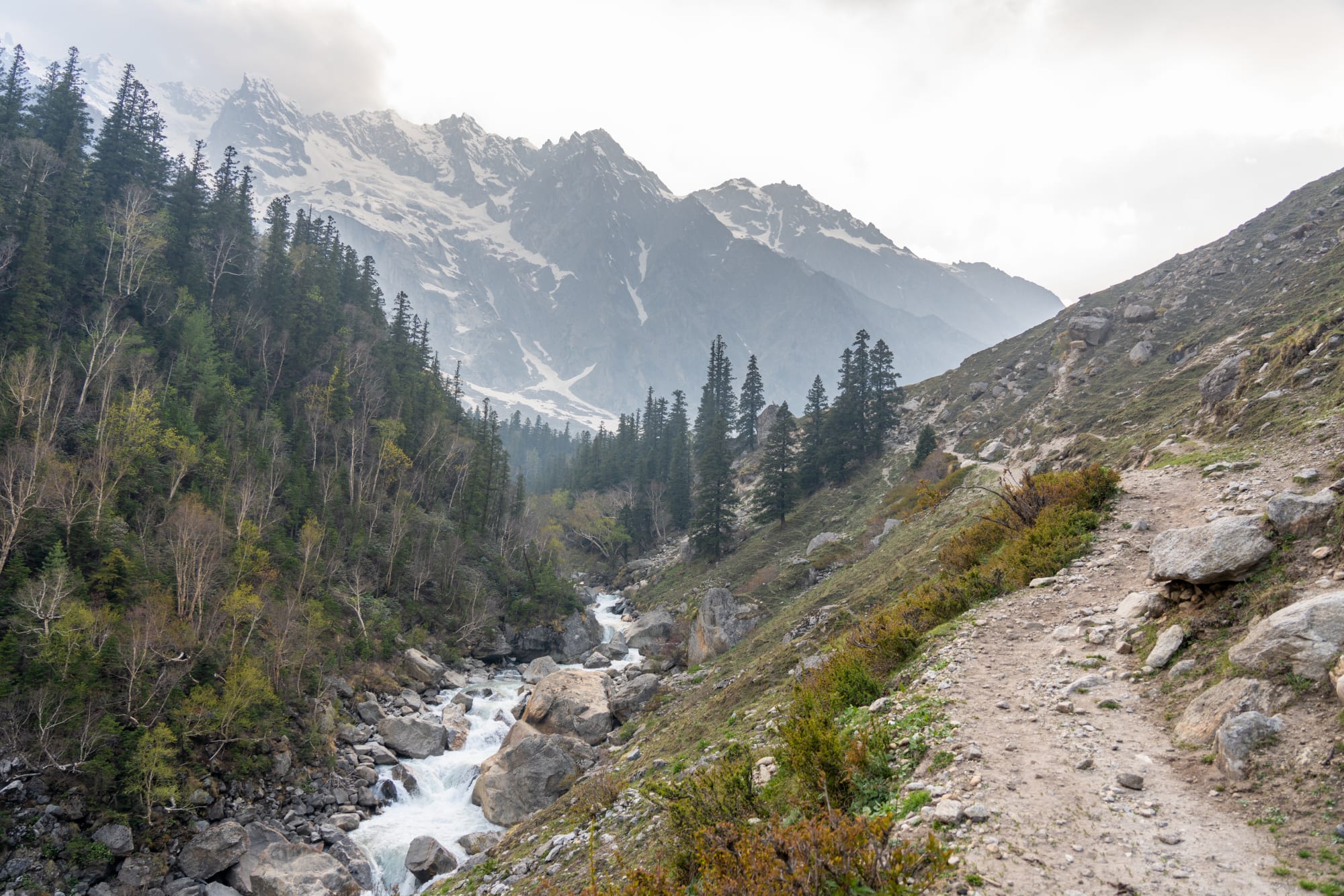 a path along a river in the forest and mountains in the background