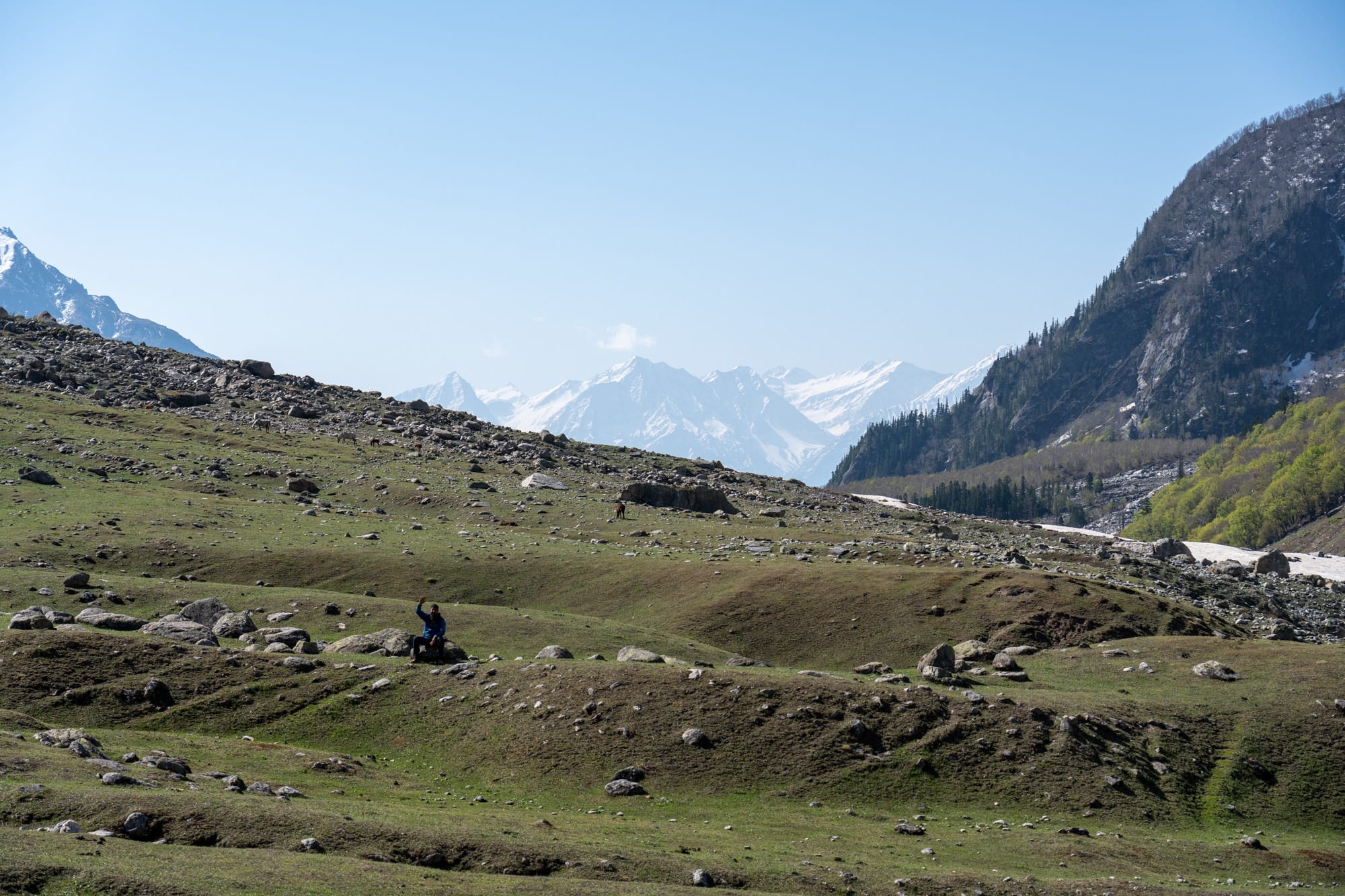 A person in the green meadows of bhaba valley