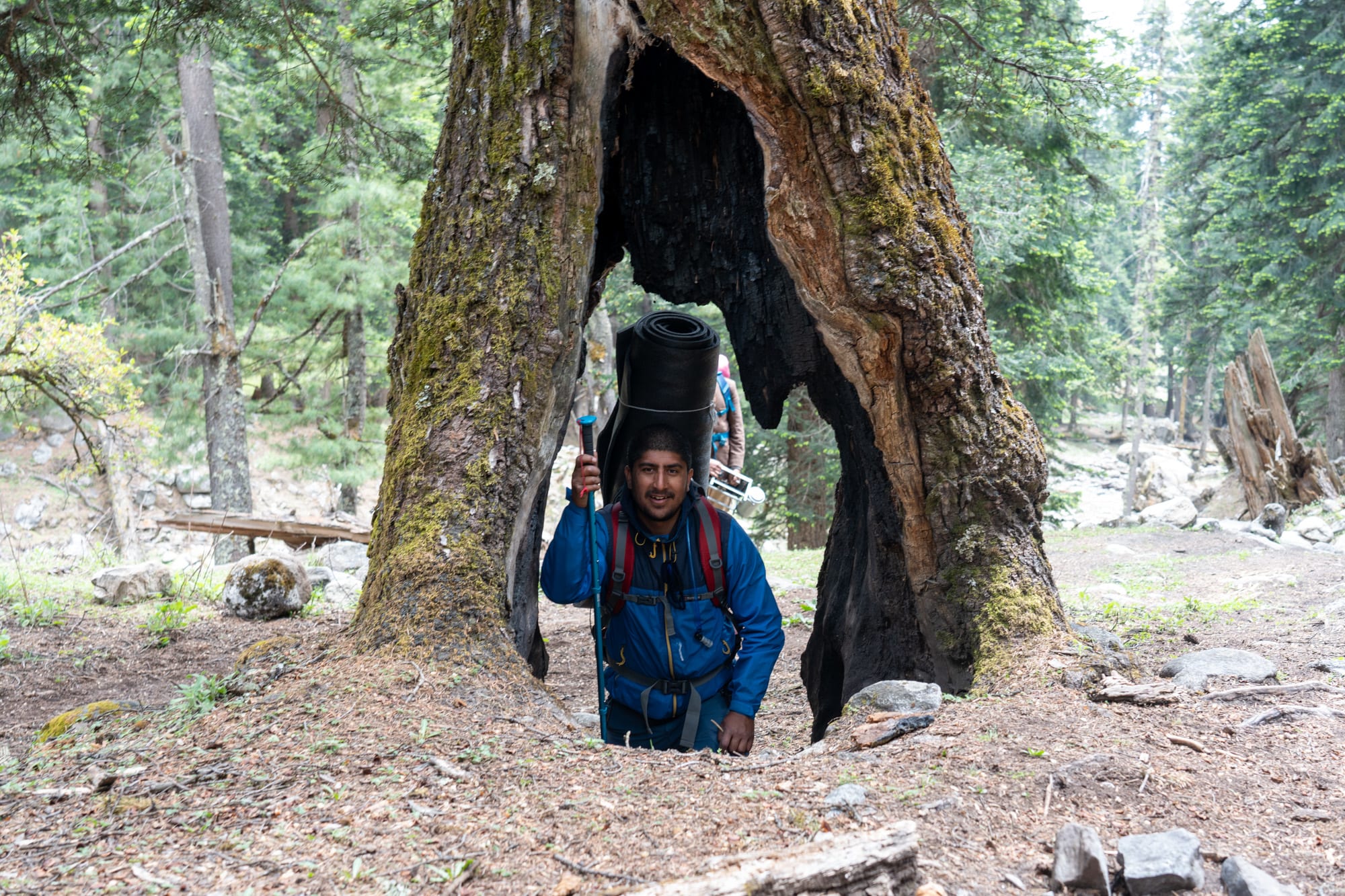 A mand inside a tree with a hole