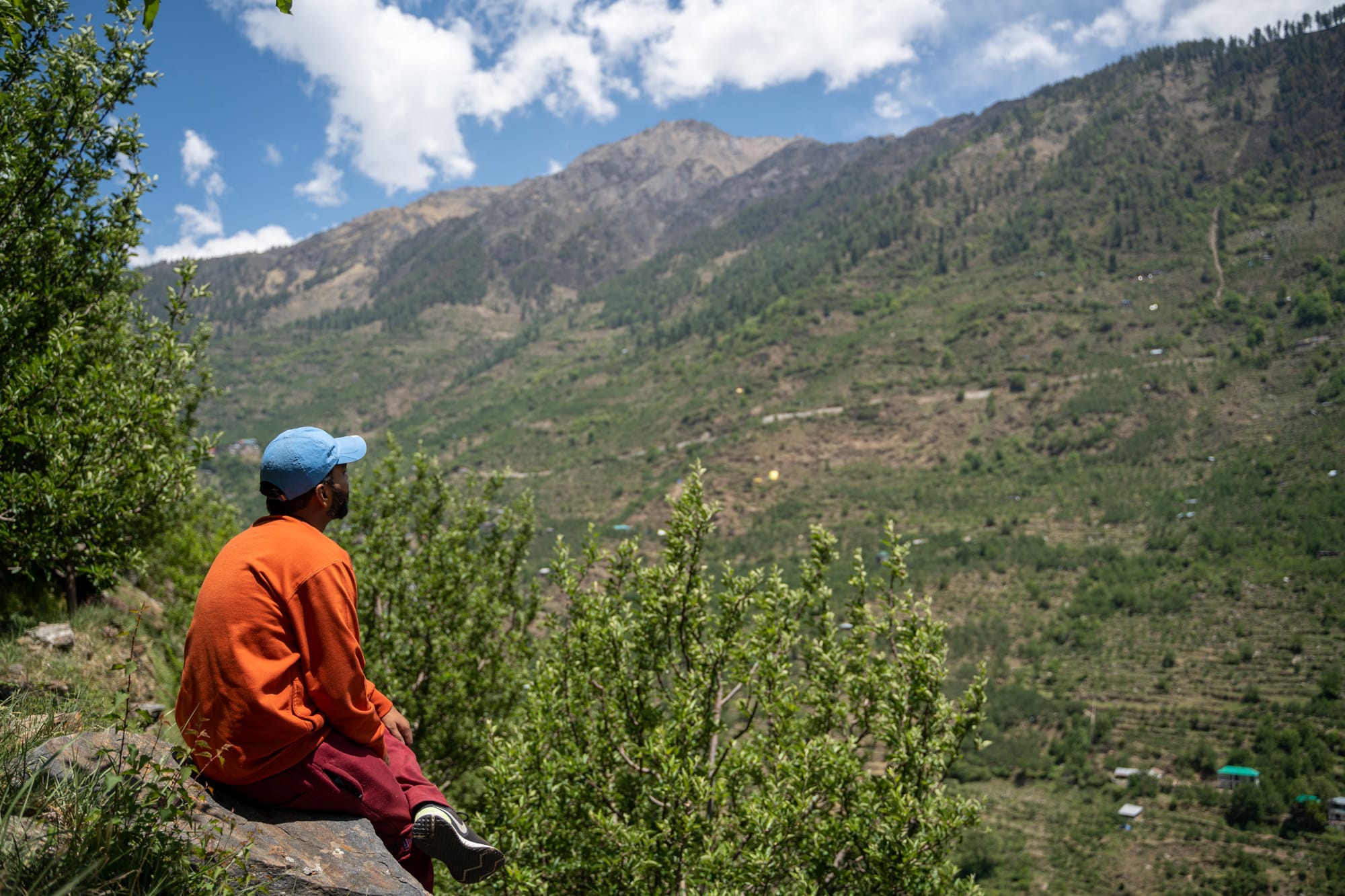 Man sitting in the apple orchard looking at the mountains