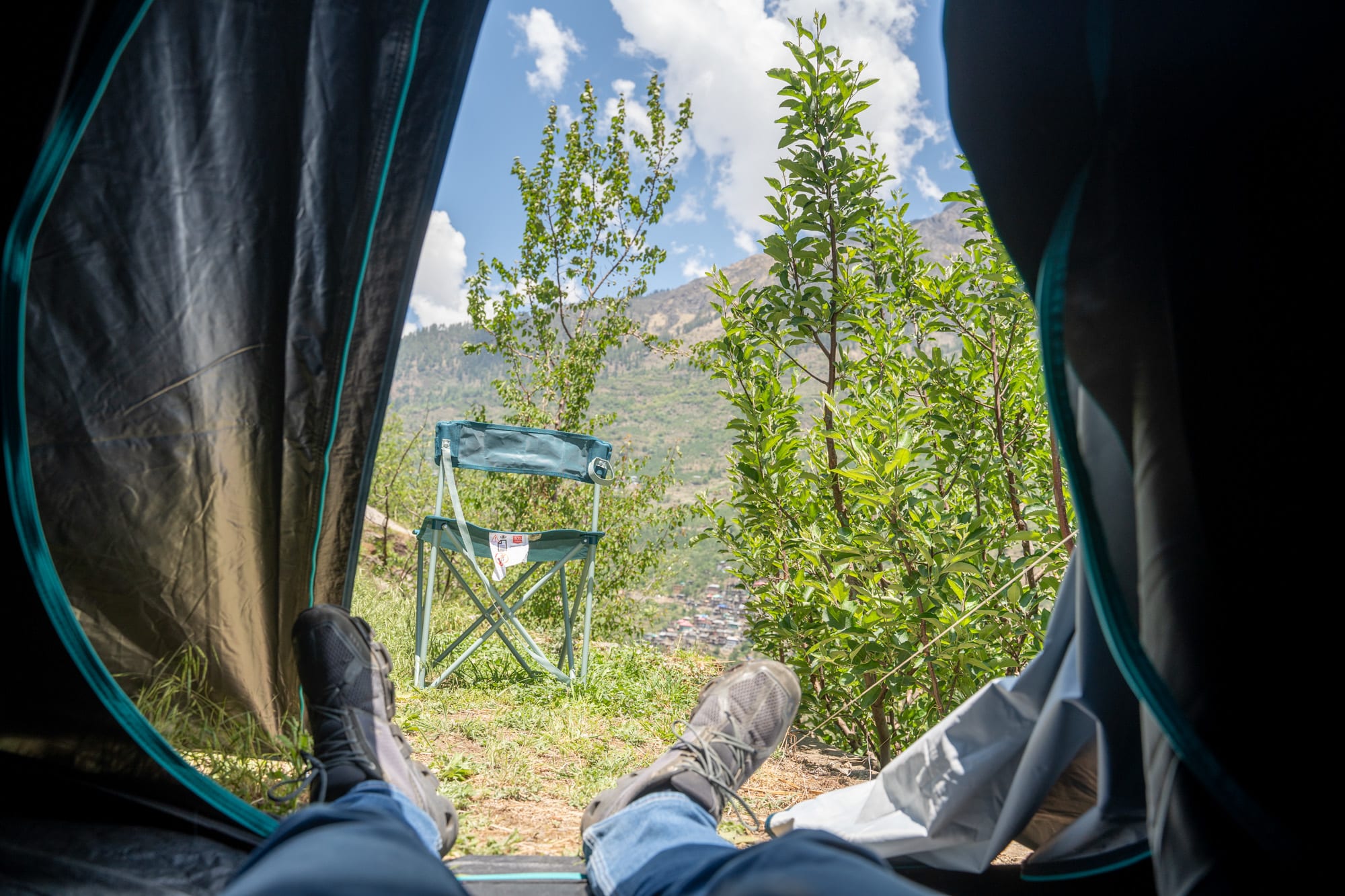 View from inside the tent to the apple orchard with mountains in the background