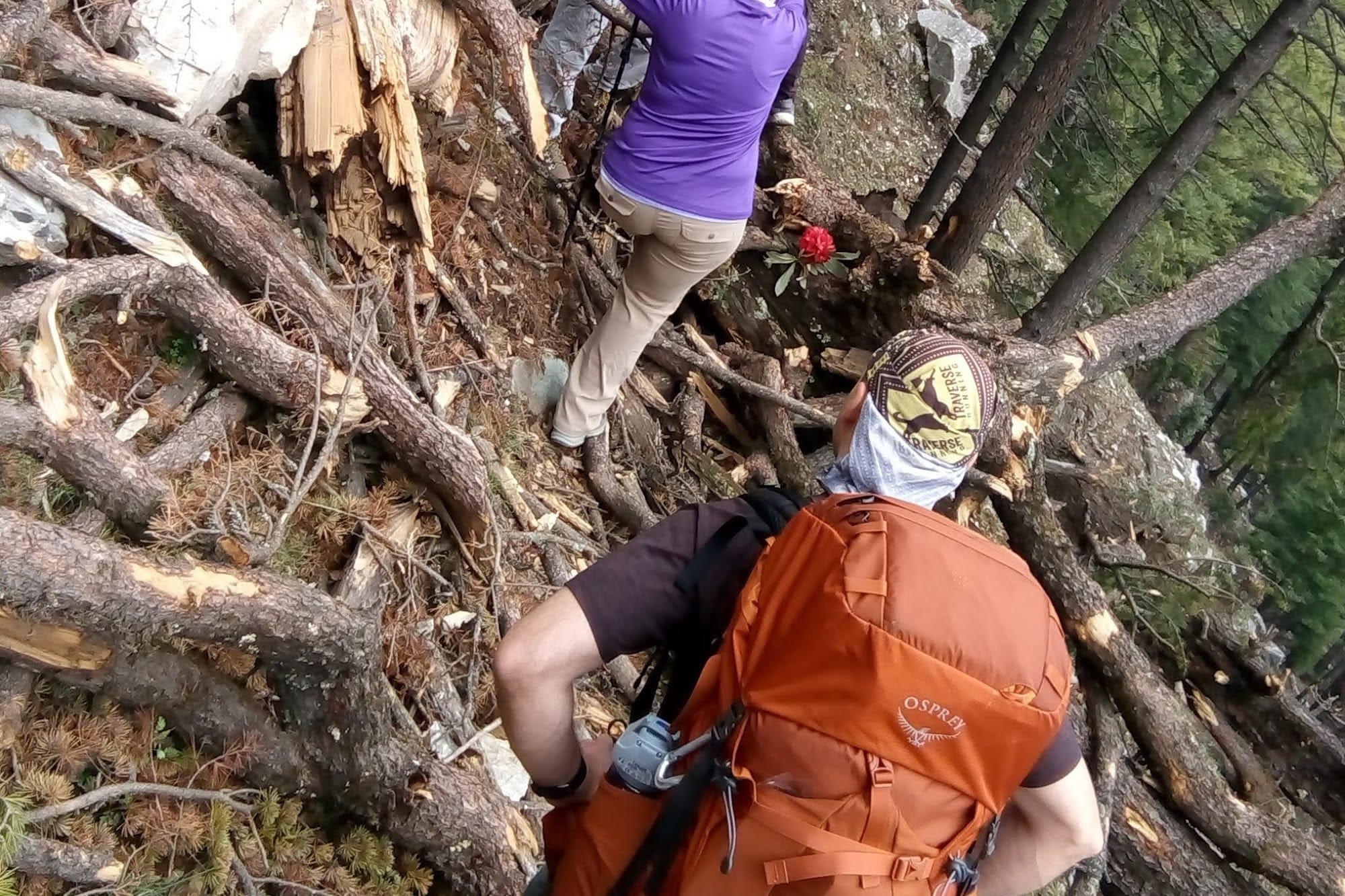 a group of people walking in the dens forest of Bhaba valley