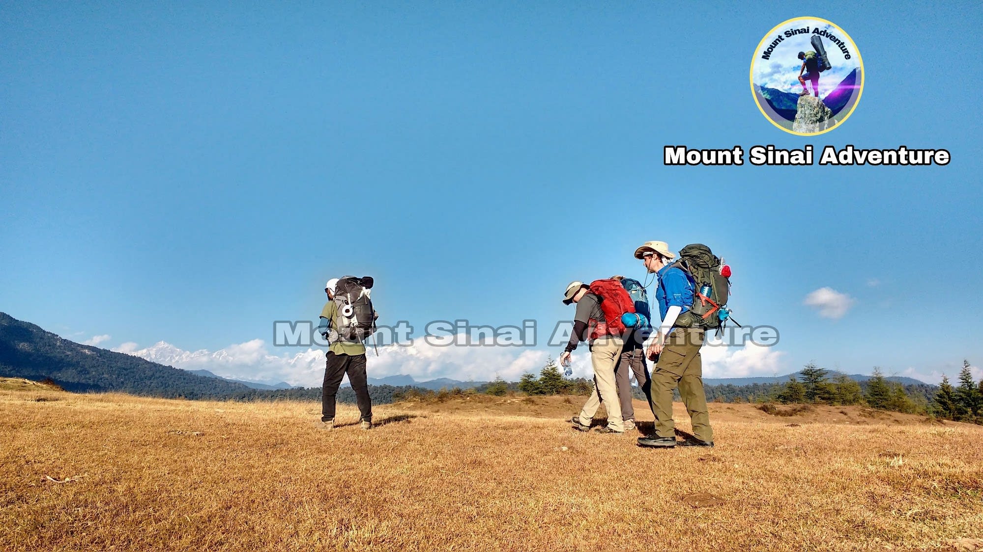 a group of people walking over a meadow