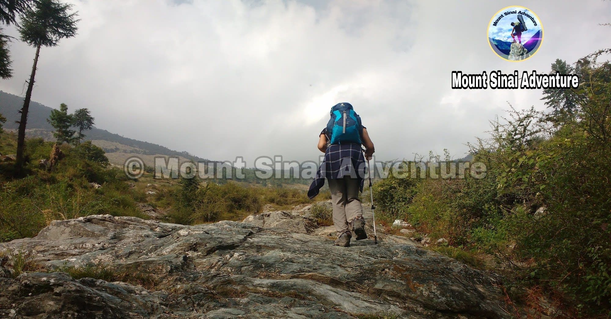 a person walking through nature