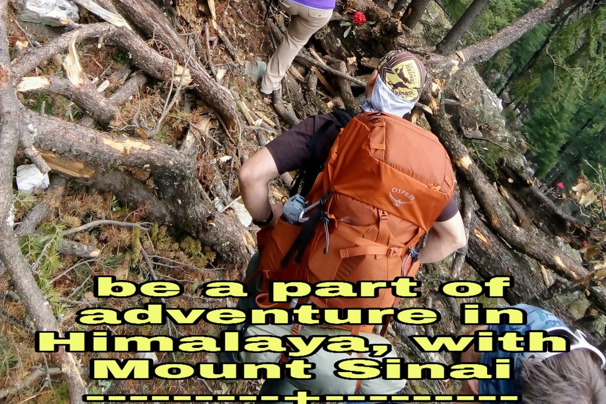 be a part of an adventure in the HImalayas, with Mount Sinai Adventure