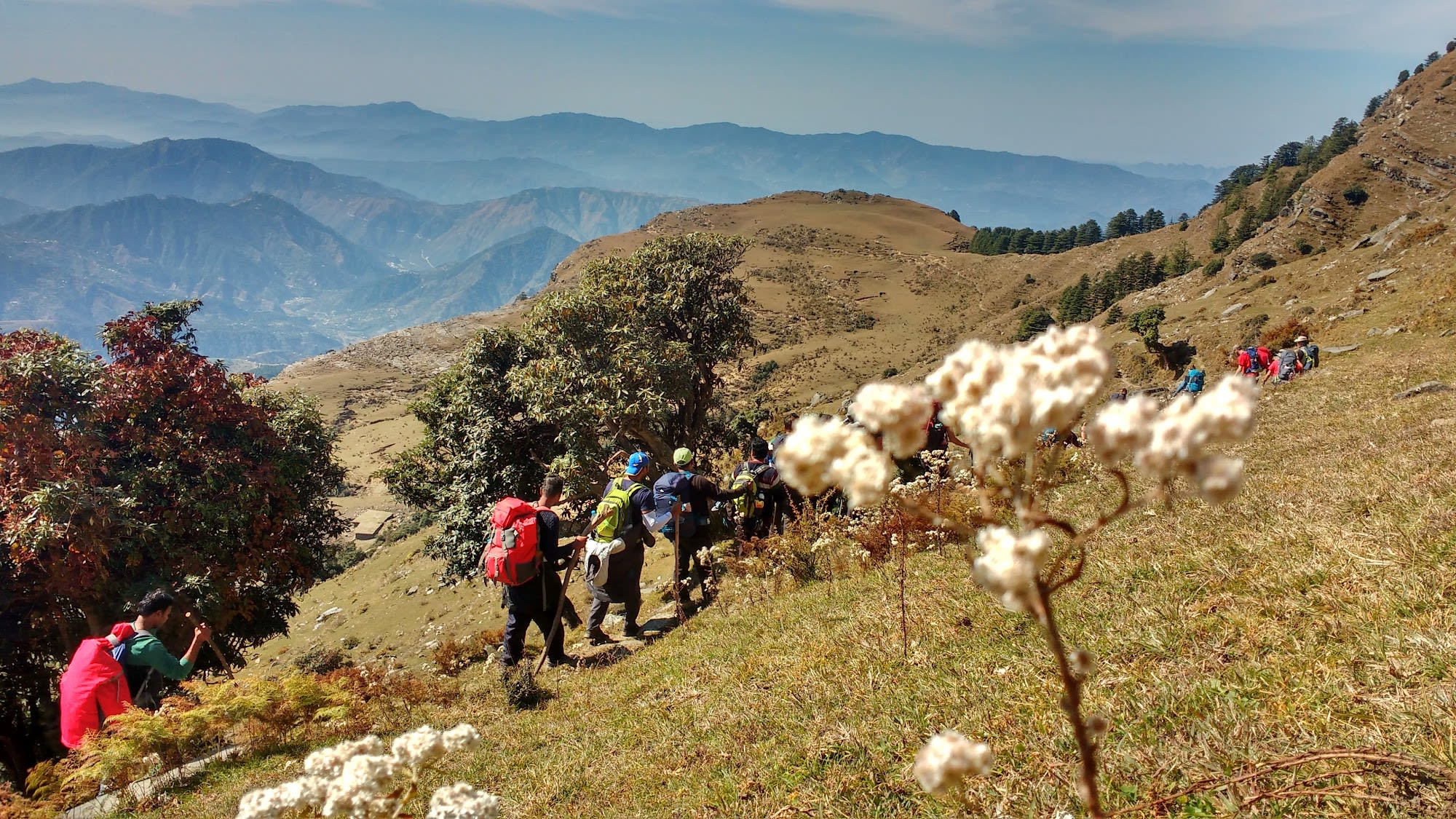 a group of people walking in the Himalayan mountains