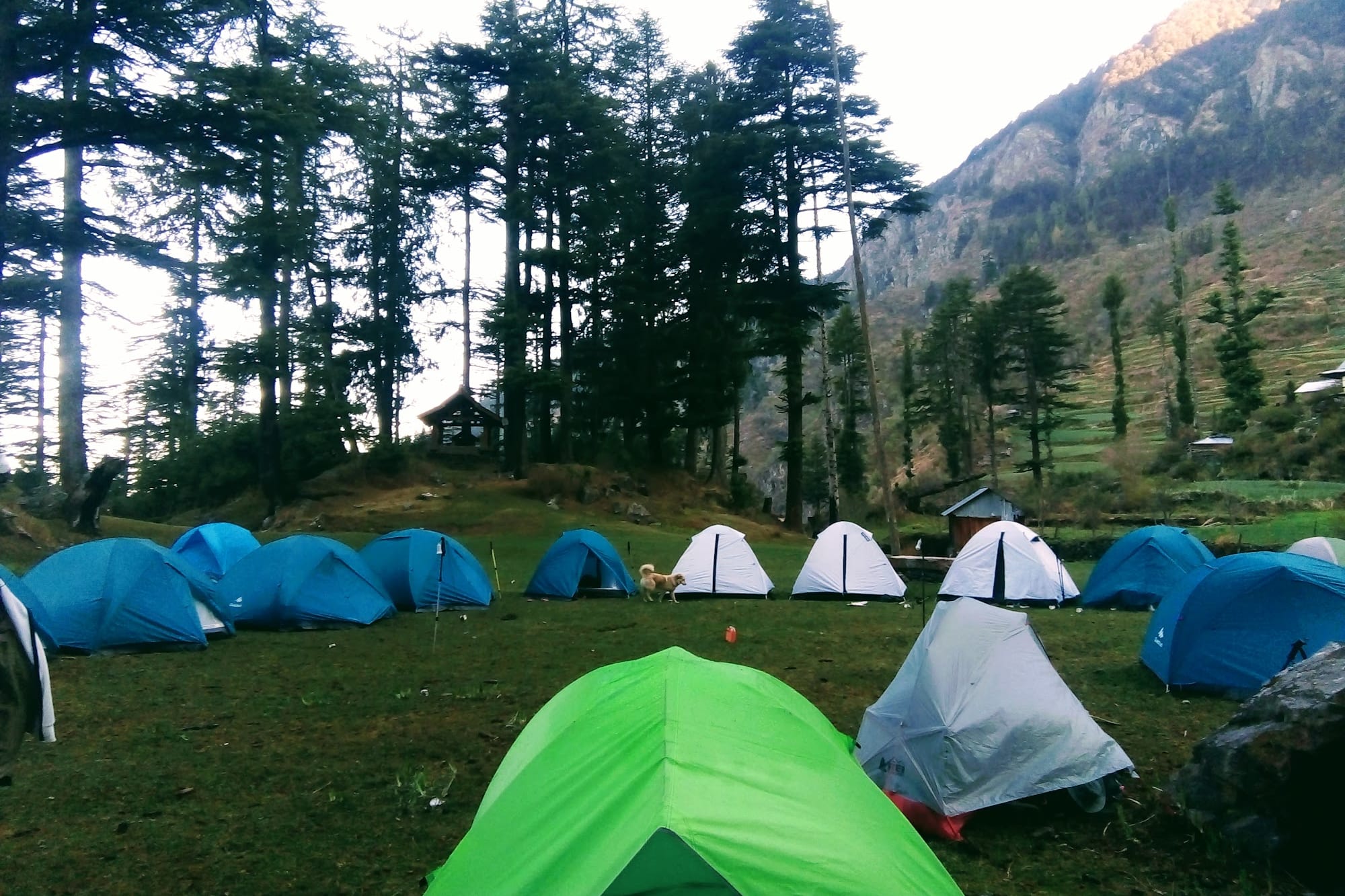 Many tents in a circle with trees and mountains in the background