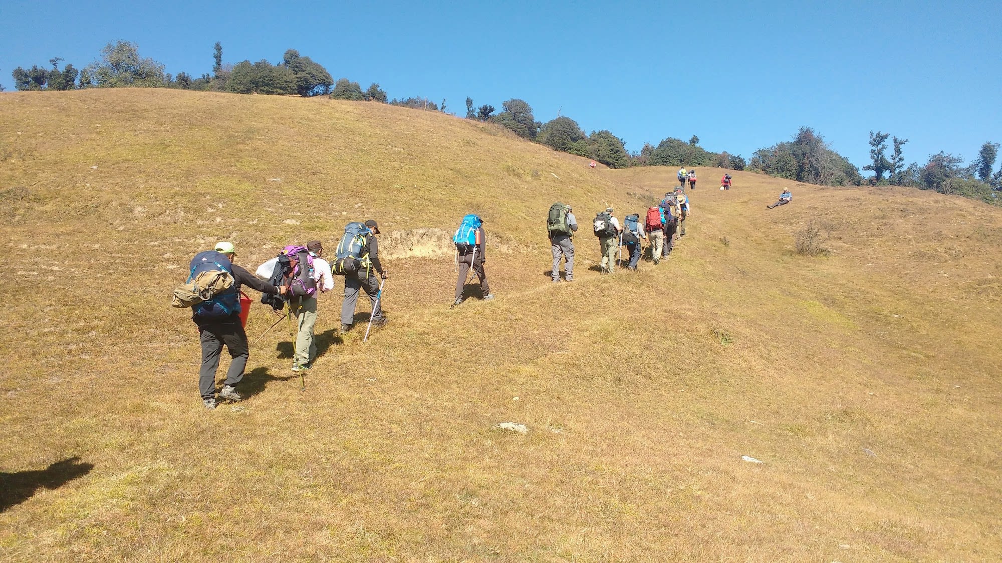 a group of people walking through a meadow