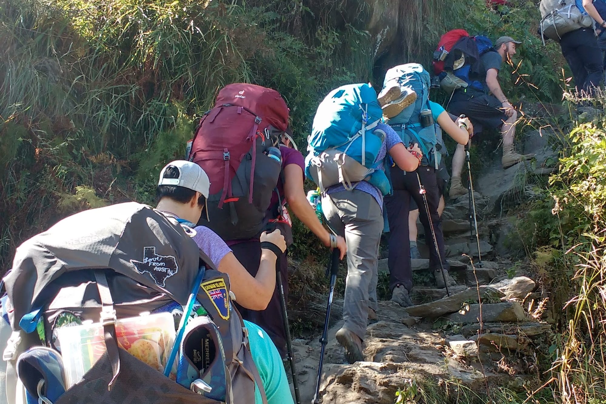 a group of people walking up through a forest