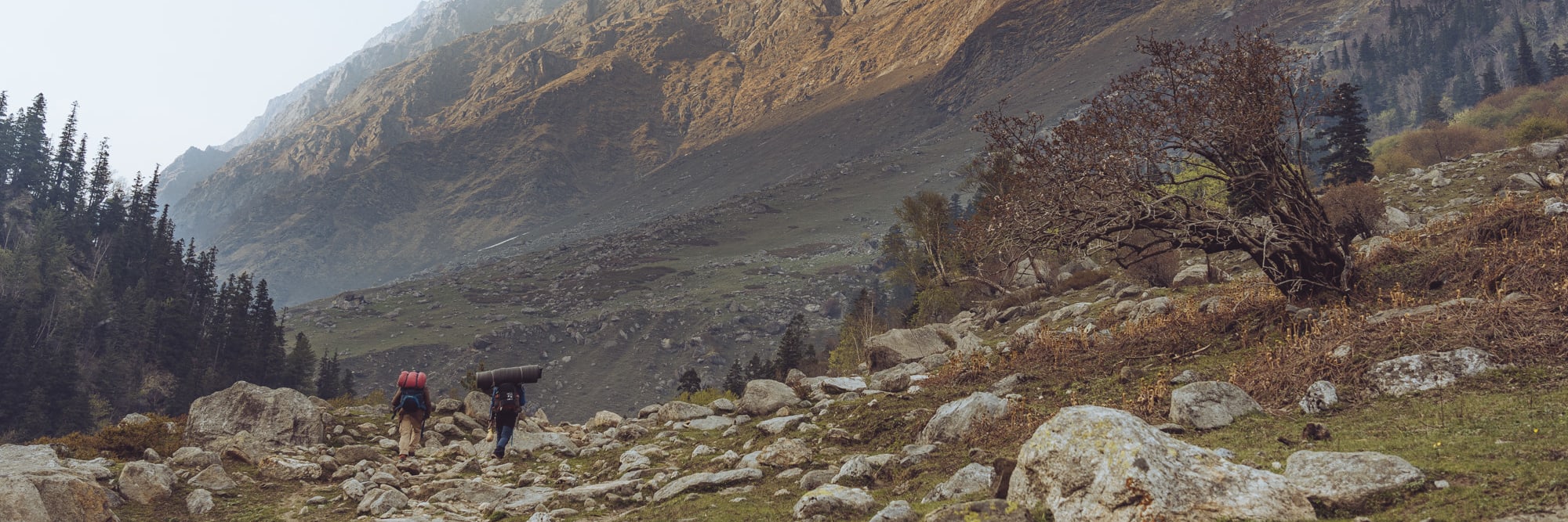 many rocks in the foreground and a mountain in the background