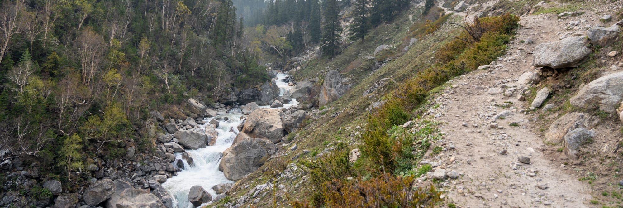 a path along a river in the forest and mountains in the background