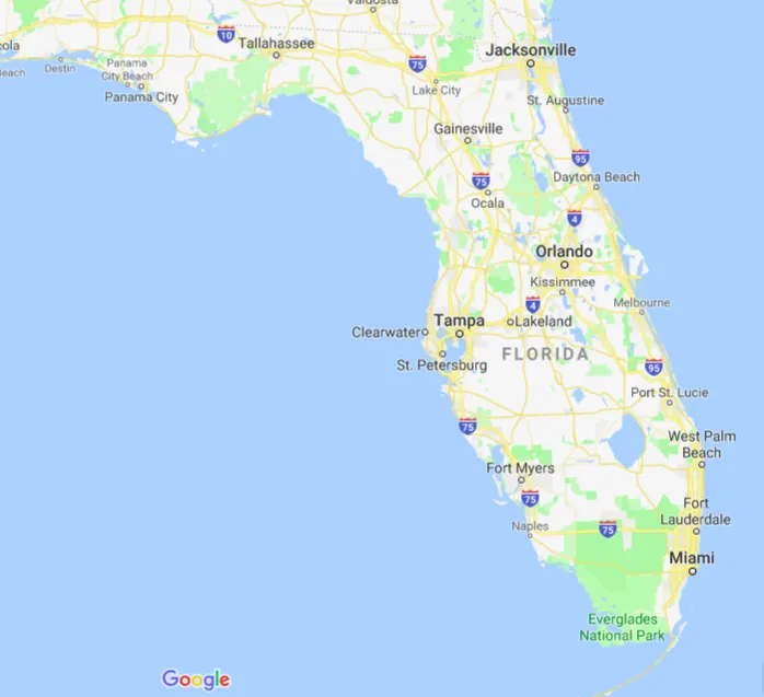 South Florida Rentals Pet Friendly