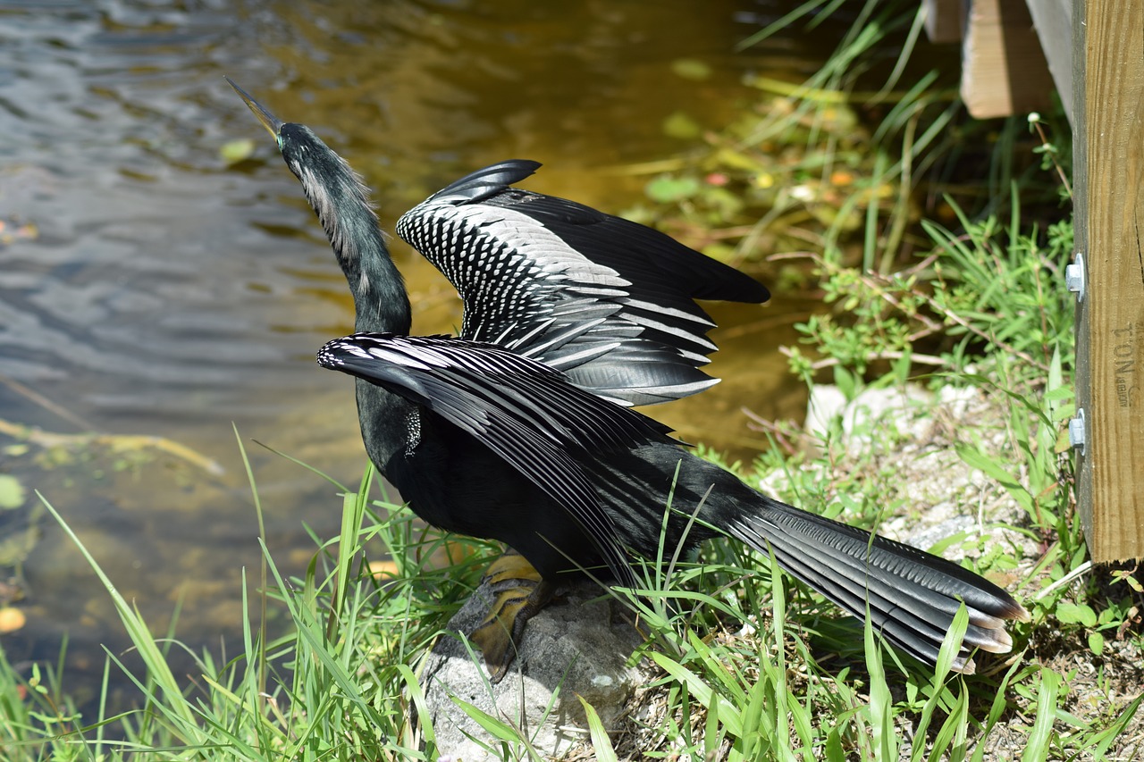 Everglandes National Park