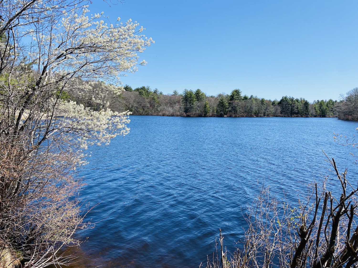 blue sky and blue lake