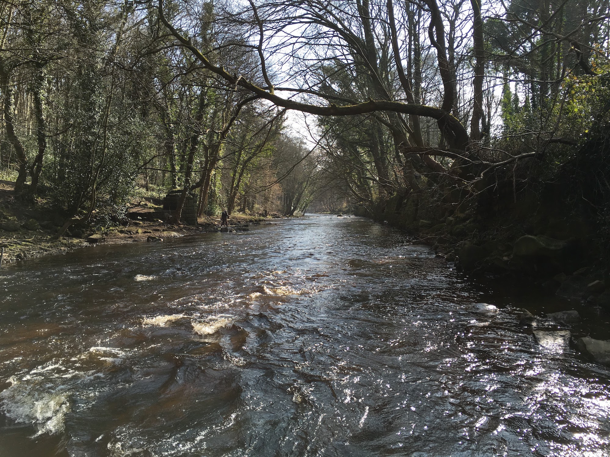 a lovely stretch of river