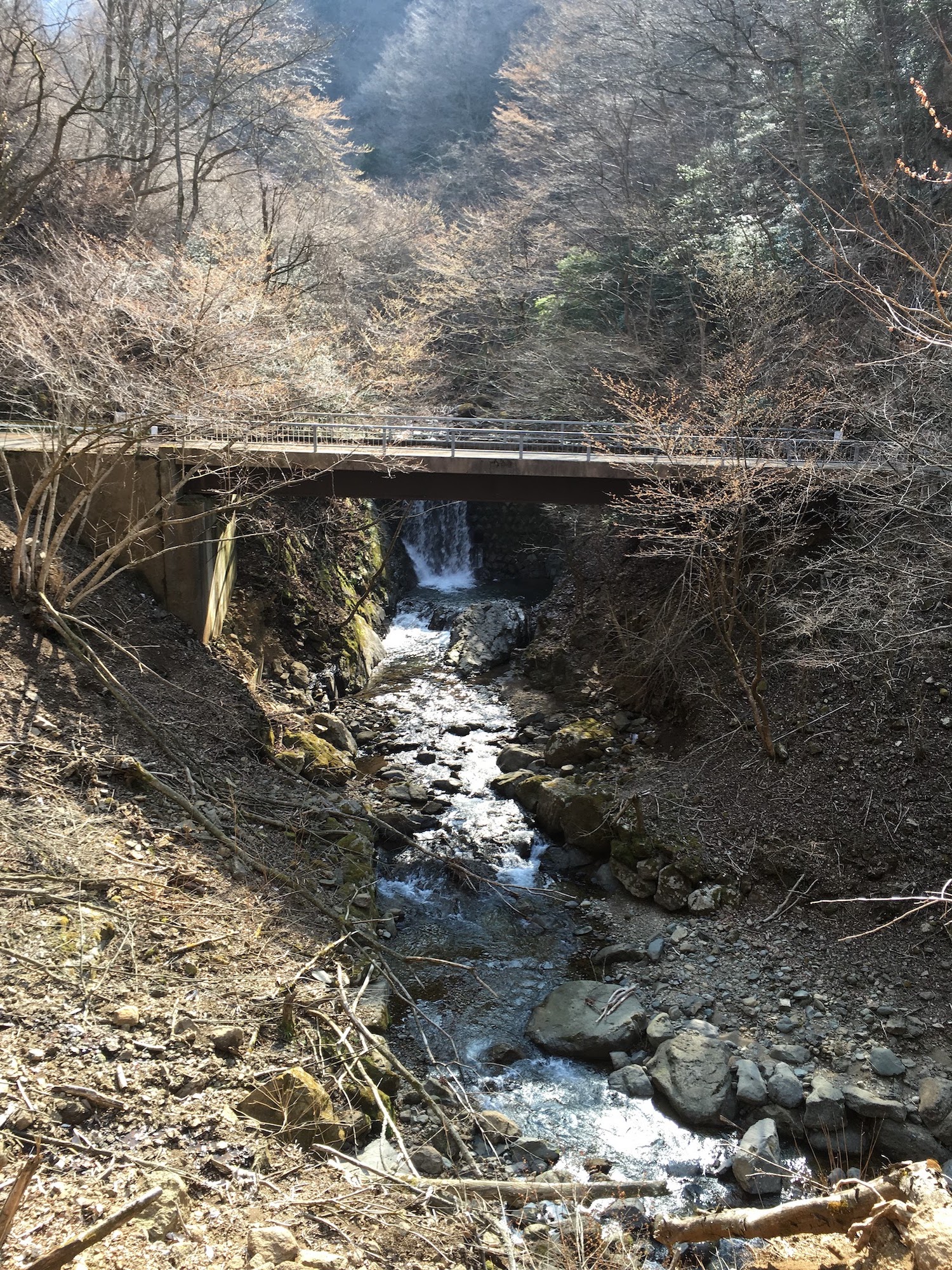 a bridge over a quaint mountain stream