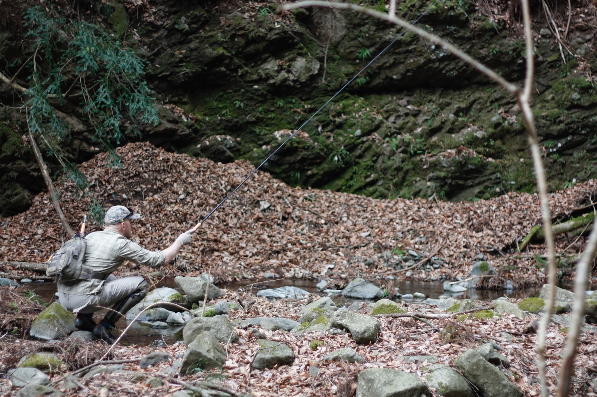 fishing for leaves