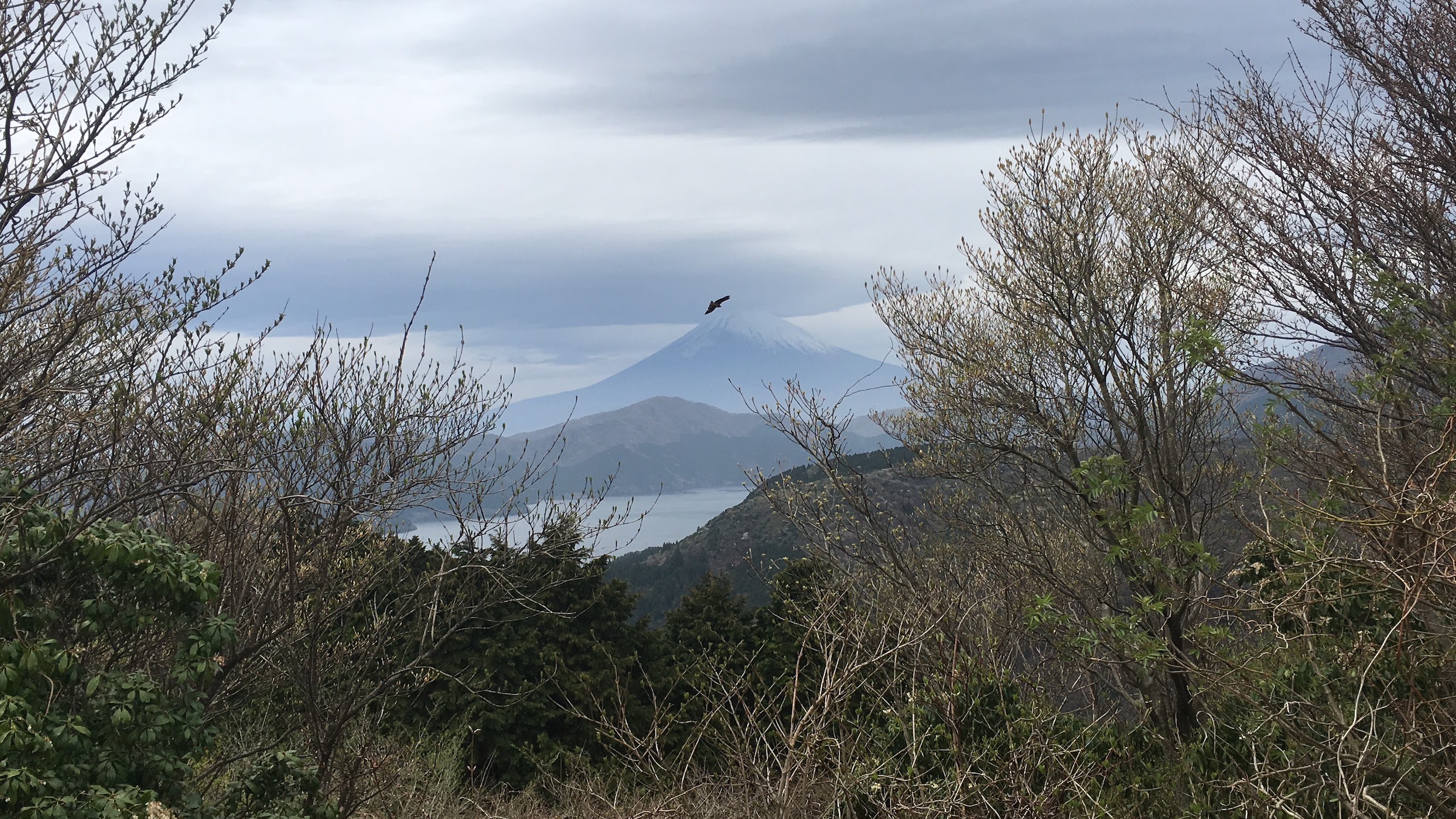 mt fuji