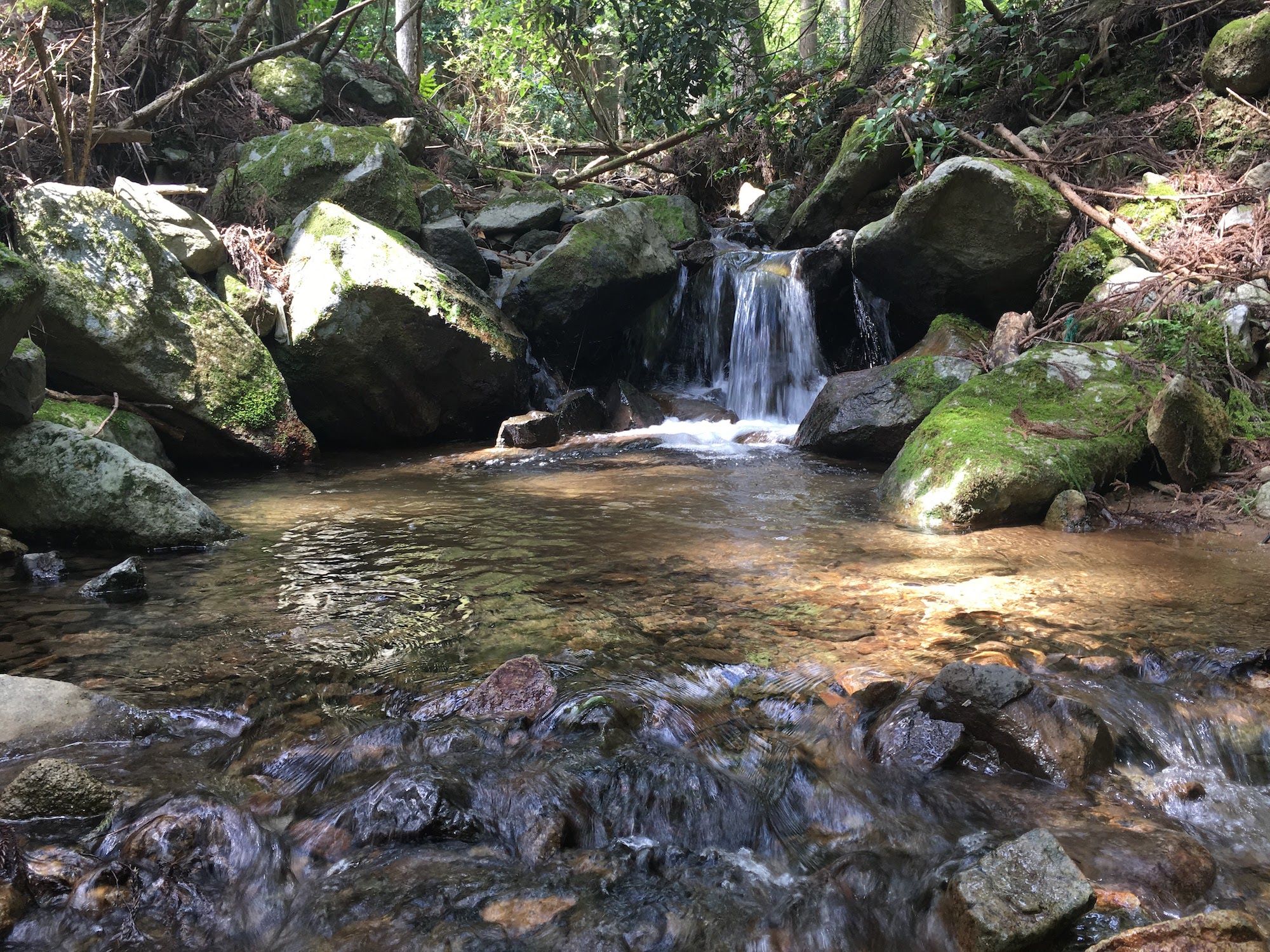 mountain stream