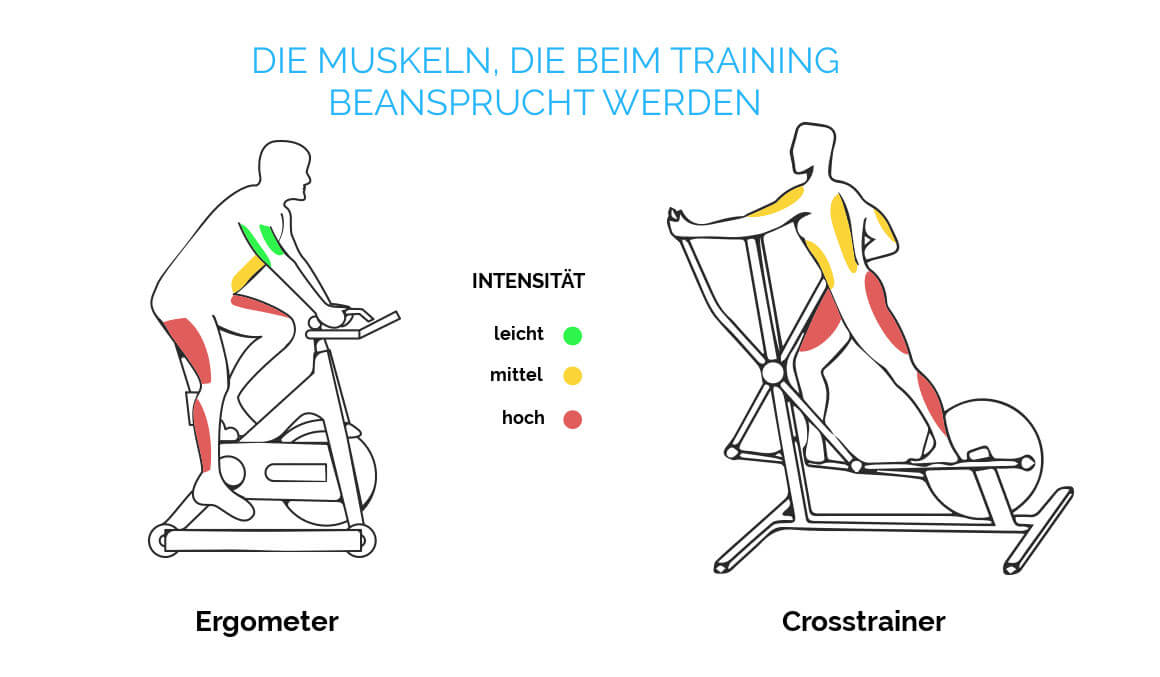Muskeln beim Heimtrainer trainiert