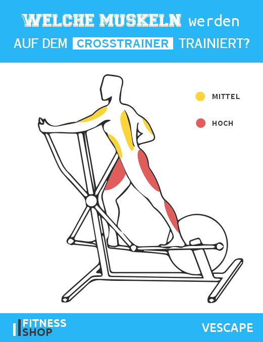 Crosstrainer: welche Muskeln werden beansprucht