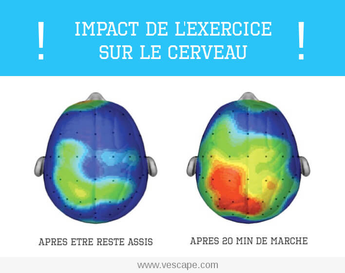 effets positifs du sport et de l'exercice sur le cerveau