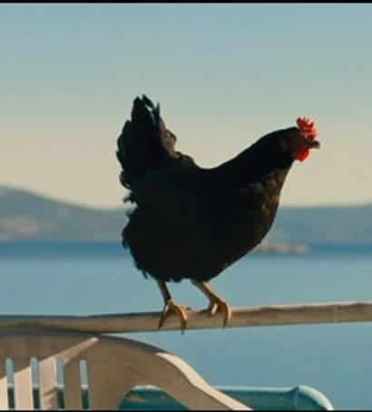 Festival Au cinéma pour les droits humains jeudi 27 mars 2026 à partir de 18h au Cinéma Vautier à Elne Festival Au cinéma pour les droits humains jeudi 27 mars 2026 à partir de 18h au Cinéma Vautier à Elne