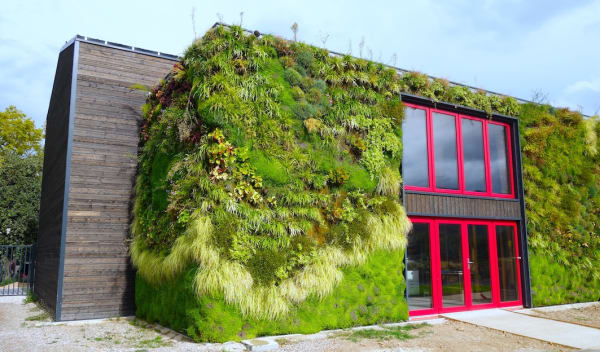 L'Atelier-Studio Cinémaginaire L'Atelier-Studio Cinémaginaire