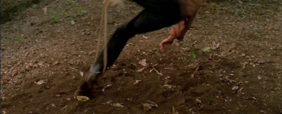Dilwale Dulhania Le Jayenge screenshot 3