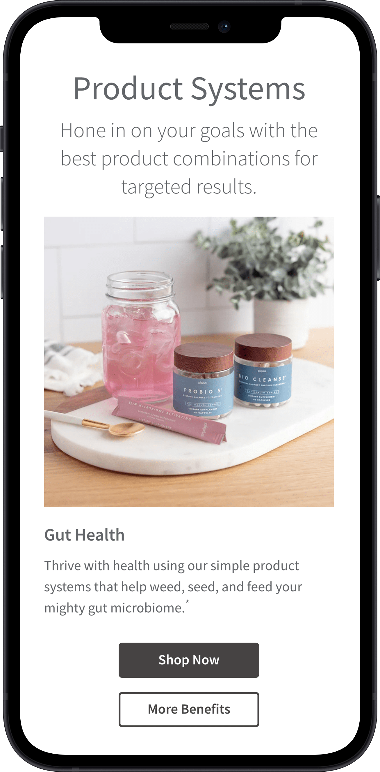 Plexus Screen