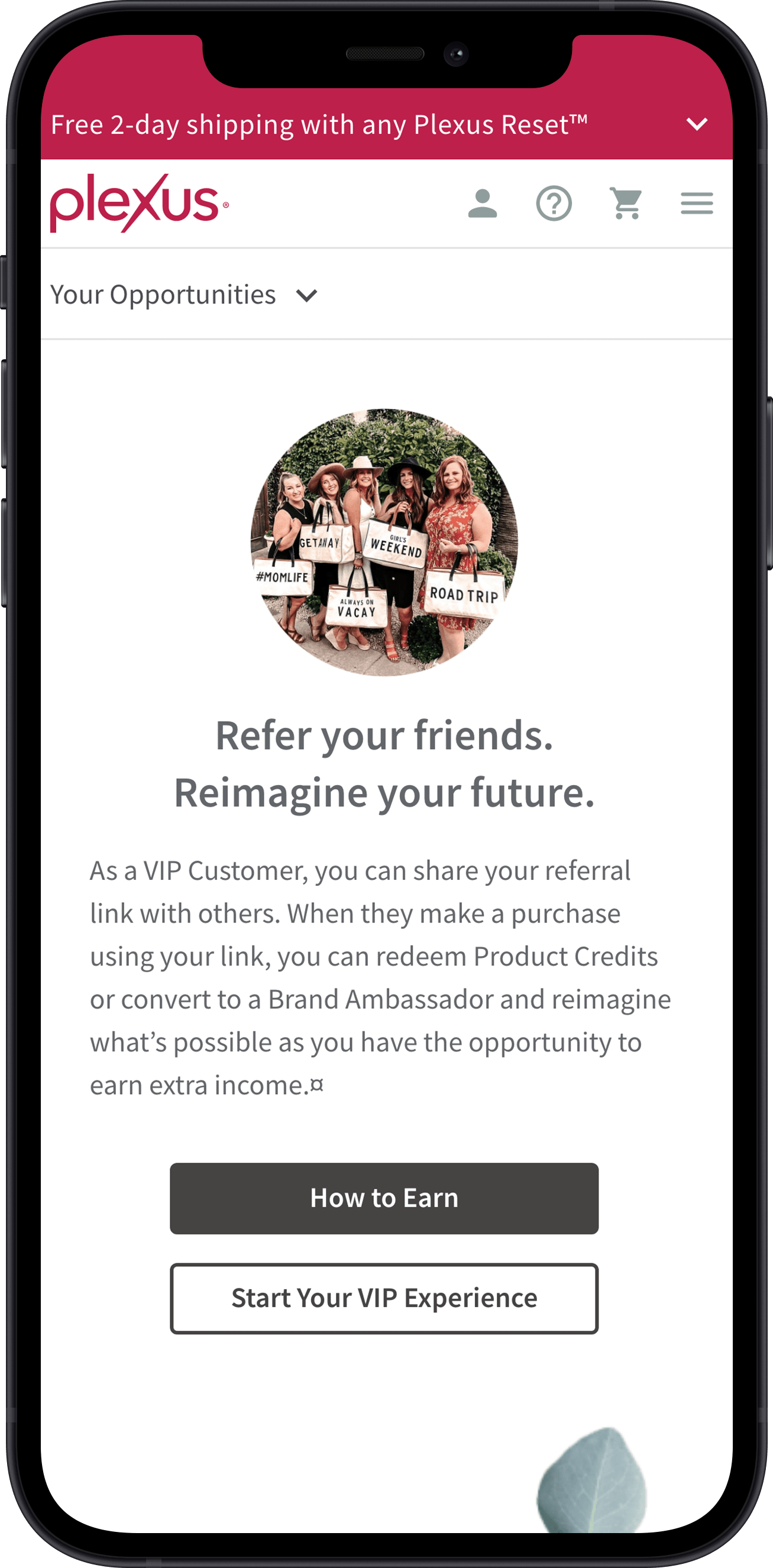 Plexus Screen