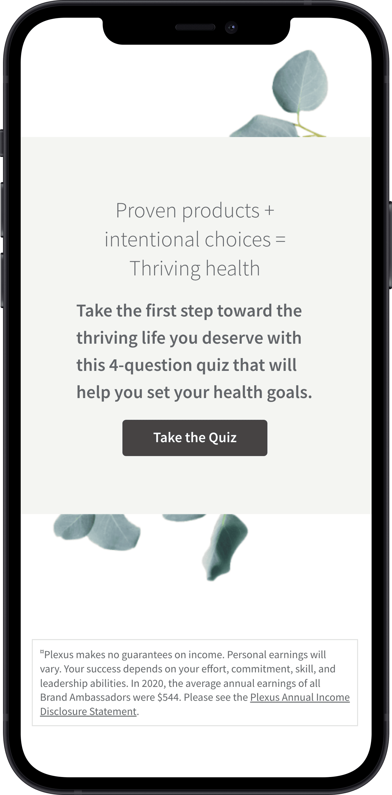 Plexus Screen