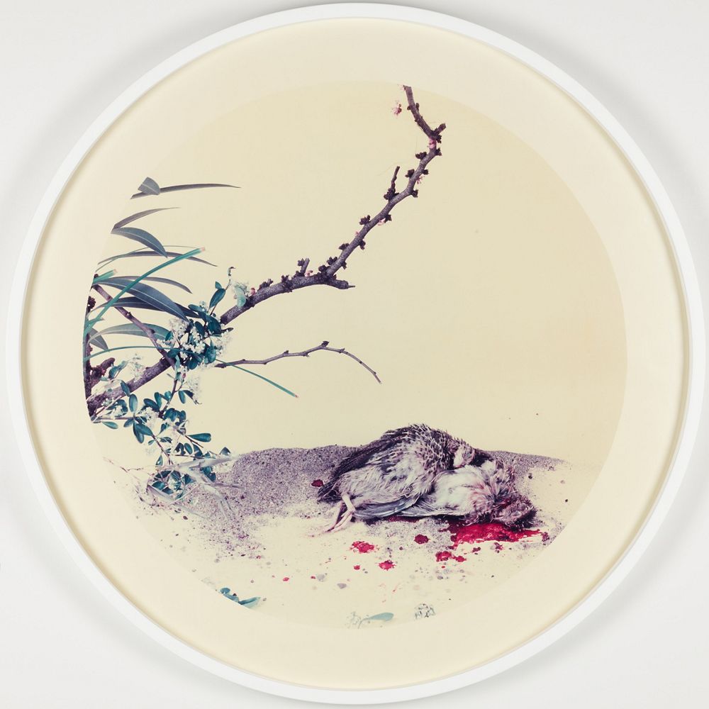 After Song-Dynasty Paintings—Li Anzhong’s Quail and Autumn Chrysanthemum by Hong Lei