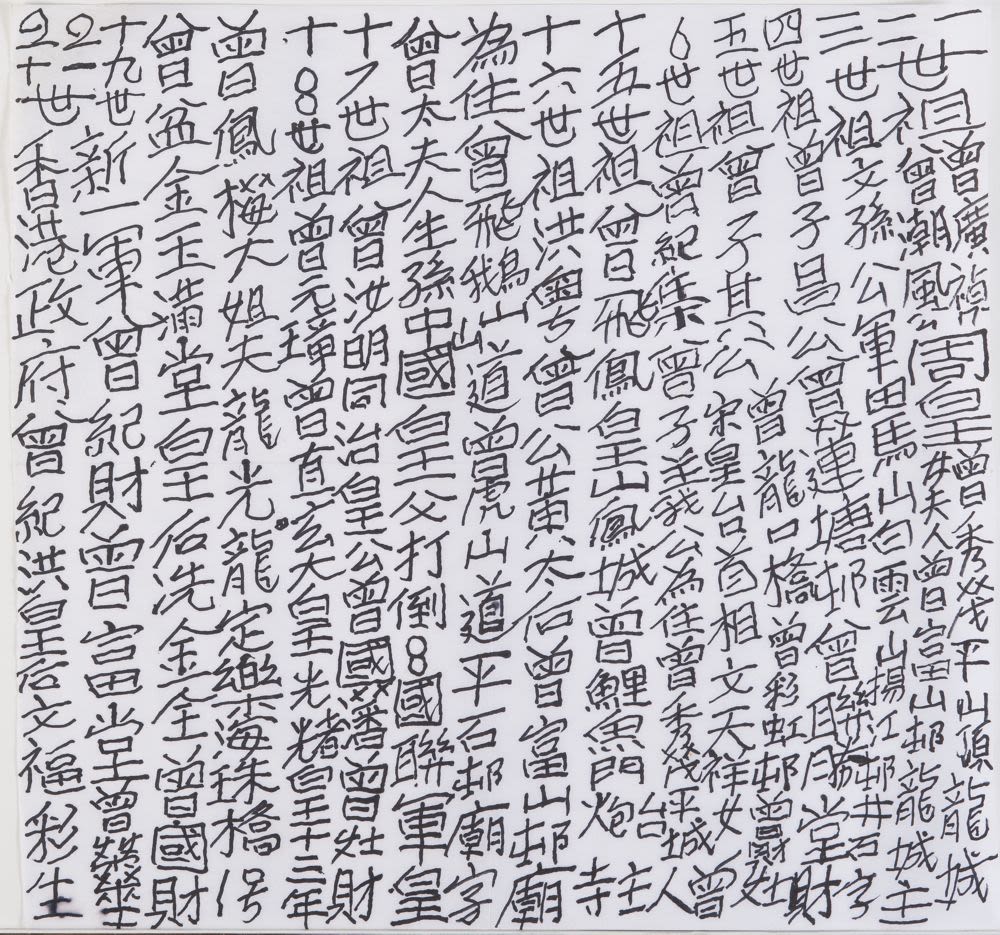 香港書籍 九龍皇帝 曾灶財 Tsang Tsou-choi アート集