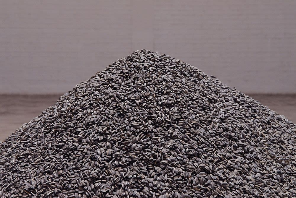 葵瓜子(2010) - 艾未未| 藏品| M+