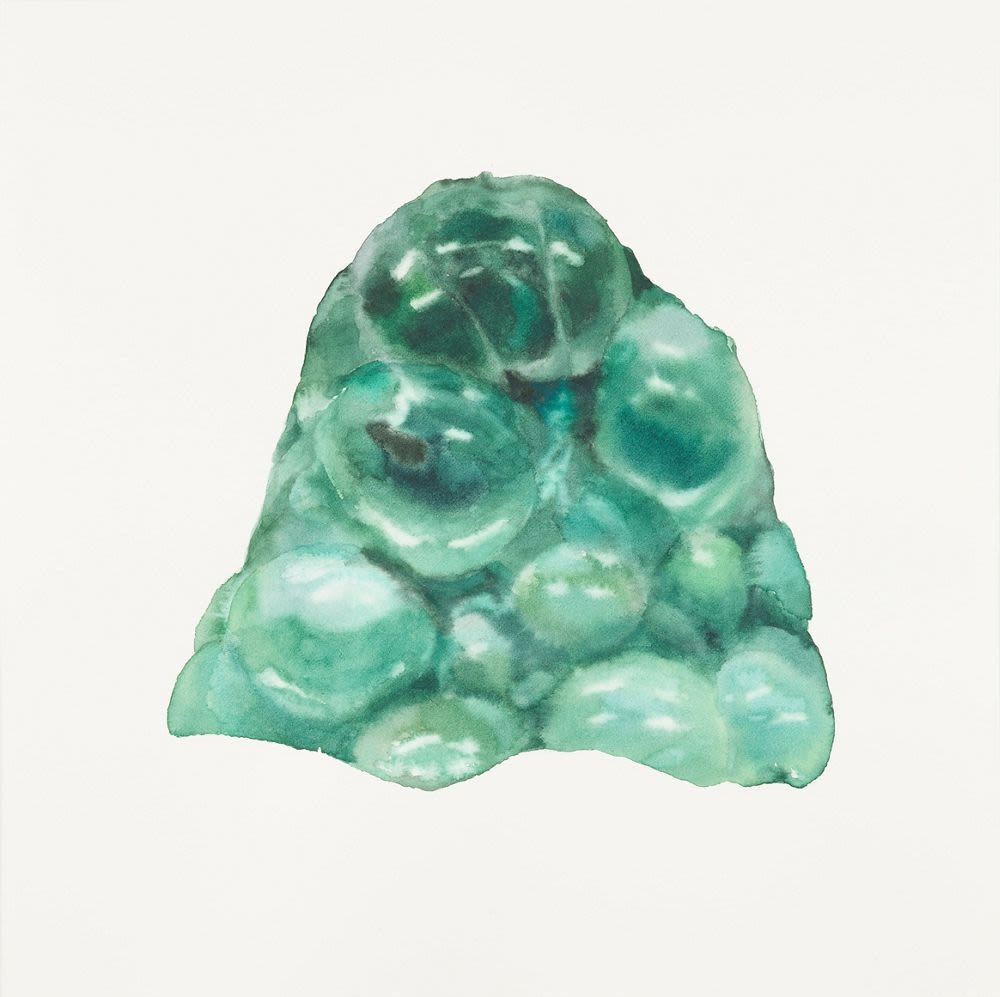 Illustration Book Of Natural Form No 66 2017 Guo Hongwei Objects illustration-book-of-natural-form-no-66-2017-guo-hongwei-objects